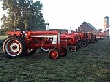 Red Tractors.jpg